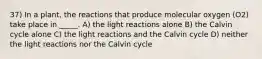 37) In a plant, the reactions that produce molecular oxygen (O2) take place in _____. A) the light reactions alone B) the Calvin cycle alone C) the light reactions and the Calvin cycle D) neither the light reactions nor the Calvin cycle