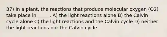 37) In a plant, the reactions that produce molecular oxygen (O2) take place in _____. A) the light reactions alone B) the Calvin cycle alone C) the light reactions and the Calvin cycle D) neither the light reactions nor the Calvin cycle