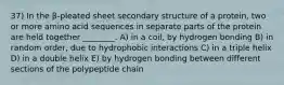 37) In the β-pleated sheet secondary structure of a protein, two or more amino acid sequences in separate parts of the protein are held together ________. A) in a coil, by hydrogen bonding B) in random order, due to hydrophobic interactions C) in a triple helix D) in a double helix E) by hydrogen bonding between different sections of the polypeptide chain