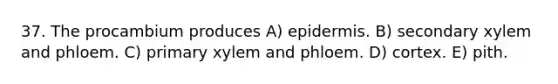 37. The procambium produces A) epidermis. B) secondary xylem and phloem. C) primary xylem and phloem. D) cortex. E) pith.