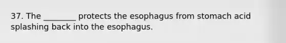 37. The ________ protects the esophagus from stomach acid splashing back into the esophagus.