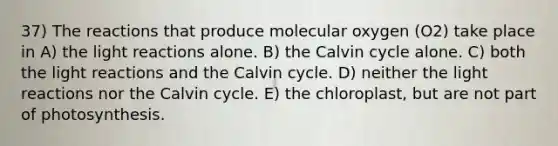 37) The reactions that produce molecular oxygen (O2) take place in A) the light reactions alone. B) the Calvin cycle alone. C) both the light reactions and the Calvin cycle. D) neither the light reactions nor the Calvin cycle. E) the chloroplast, but are not part of photosynthesis.