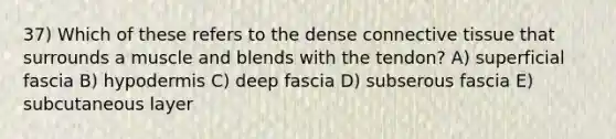 37) Which of these refers to the dense connective tissue that surrounds a muscle and blends with the tendon? A) superficial fascia B) hypodermis C) deep fascia D) subserous fascia E) subcutaneous layer