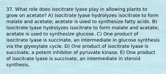 37. What role does isocitrate lyase play in allowing plants to grow on acetate? A) Isocitrate lyase hydrolyzes isocitrate to form malate and acetate; acetate is used to synthesize fatty acids. B) Isocitrate lyase hydrolyzes isocitrate to form malate and acetate; acetate is used to synthesize glucose. C) One product of isocitrate lyase is succinate, an intermediate in glucose synthesis via the glyoxylate cycle. D) One product of isocitrate lyase is succinate, a potent inhibitor of pyruvate kinase. E) One product of isocitrate lyase is succinate, an intermediate in steroid synthesis.