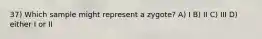37) Which sample might represent a zygote? A) I B) II C) III D) either I or II