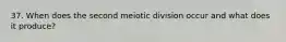 37. When does the second meiotic division occur and what does it produce?