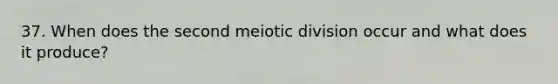 37. When does the second meiotic division occur and what does it produce?