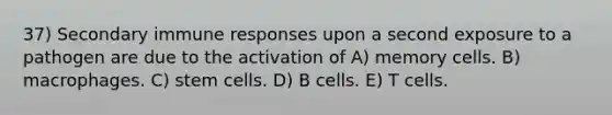 37) Secondary immune responses upon a second exposure to a pathogen are due to the activation of A) memory cells. B) macrophages. C) stem cells. D) B cells. E) T cells.