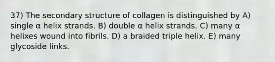 37) The secondary structure of collagen is distinguished by A) single α helix strands. B) double α helix strands. C) many α helixes wound into fibrils. D) a braided triple helix. E) many glycoside links.