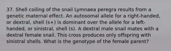 37. Shell coiling of the snail Lymnaea peregra results from a genetic maternal effect. An autosomal allele for a right-handed, or dextral, shell (s+) is dominant over the allele for a left-handed, or sinistral, shell (s). A dextral male snail mates with a dextral female snail. This cross produces only offspring with sinistral shells. What is the genotype of the female parent?