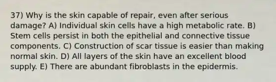 37) Why is the skin capable of repair, even after serious damage? A) Individual skin cells have a high metabolic rate. B) Stem cells persist in both the epithelial and <a href='https://www.questionai.com/knowledge/kYDr0DHyc8-connective-tissue' class='anchor-knowledge'>connective tissue</a> components. C) Construction of scar tissue is easier than making normal skin. D) All layers of the skin have an excellent blood supply. E) There are abundant fibroblasts in <a href='https://www.questionai.com/knowledge/kBFgQMpq6s-the-epidermis' class='anchor-knowledge'>the epidermis</a>.