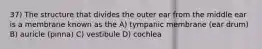 37) The structure that divides the outer ear from the middle ear is a membrane known as the A) tympanic membrane (ear drum) B) auricle (pinna) C) vestibule D) cochlea