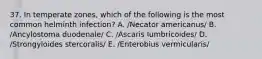 37. In temperate zones, which of the following is the most common helminth infection? A. /Necator americanus/ B. /Ancylostoma duodenale/ C. /Ascaris lumbricoides/ D. /Strongyloides stercoralis/ E. /Enterobius vermicularis/