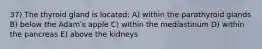 37) The thyroid gland is located: A) within the parathyroid glands B) below the Adamʹs apple C) within the mediastinum D) within the pancreas E) above the kidneys