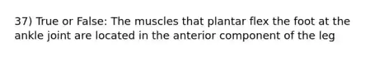 37) True or False: The muscles that plantar flex the foot at the ankle joint are located in the anterior component of the leg