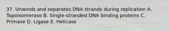 37. Unwinds and separates DNA strands during replication A. Topoisomerase B. Single-stranded DNA binding proteins C. Primase D. Ligase E. Helicase