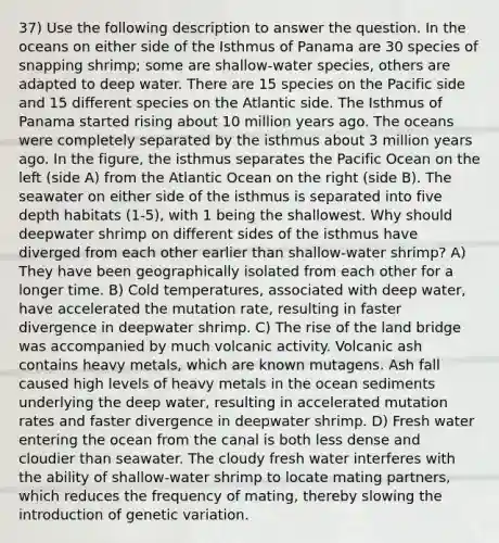 37) Use the following description to answer the question. In the oceans on either side of the Isthmus of Panama are 30 species of snapping shrimp; some are shallow-water species, others are adapted to deep water. There are 15 species on the Pacific side and 15 different species on the Atlantic side. The Isthmus of Panama started rising about 10 million years ago. The oceans were completely separated by the isthmus about 3 million years ago. In the figure, the isthmus separates the Pacific Ocean on the left (side A) from the Atlantic Ocean on the right (side B). The seawater on either side of the isthmus is separated into five depth habitats (1-5), with 1 being the shallowest. Why should deepwater shrimp on different sides of the isthmus have diverged from each other earlier than shallow-water shrimp? A) They have been geographically isolated from each other for a longer time. B) Cold temperatures, associated with deep water, have accelerated the mutation rate, resulting in faster divergence in deepwater shrimp. C) The rise of the land bridge was accompanied by much volcanic activity. Volcanic ash contains heavy metals, which are known mutagens. Ash fall caused high levels of heavy metals in the ocean sediments underlying the deep water, resulting in accelerated mutation rates and faster divergence in deepwater shrimp. D) Fresh water entering the ocean from the canal is both less dense and cloudier than seawater. The cloudy fresh water interferes with the ability of shallow-water shrimp to locate mating partners, which reduces the frequency of mating, thereby slowing the introduction of genetic variation.