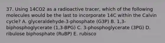 37. Using 14CO2 as a radioactive tracer, which of the following molecules would be the last to incorporate 14C within the Calvin cycle? A. glyceraldehyde-3-phosphate (G3P) B. 1,3-biphosphoglycerate (1,3-BPG) C. 3-phosphoglycerate (3PG) D. ribulose biphosphate (RuBP) E. rubisco