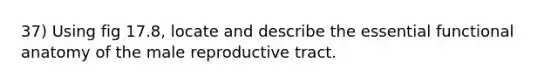 37) Using fig 17.8, locate and describe the essential functional anatomy of the male reproductive tract.