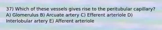 37) Which of these vessels gives rise to the peritubular capillary? A) Glomerulus B) Arcuate artery C) Efferent arteriole D) Interlobular artery E) Afferent arteriole