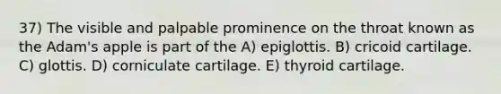 37) The visible and palpable prominence on the throat known as the Adam's apple is part of the A) epiglottis. B) cricoid cartilage. C) glottis. D) corniculate cartilage. E) thyroid cartilage.