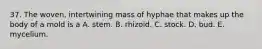 37. The woven, intertwining mass of hyphae that makes up the body of a mold is a A. stem. B. rhizoid. C. stock. D. bud. E. mycelium.