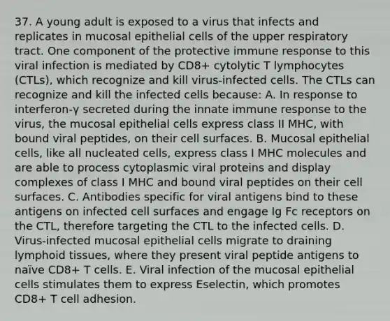 37. A young adult is exposed to a virus that infects and replicates in mucosal epithelial cells of the upper respiratory tract. One component of the protective immune response to this viral infection is mediated by CD8+ cytolytic T lymphocytes (CTLs), which recognize and kill virus-infected cells. The CTLs can recognize and kill the infected cells because: A. In response to interferon-γ secreted during the innate immune response to the virus, the mucosal epithelial cells express class II MHC, with bound viral peptides, on their cell surfaces. B. Mucosal epithelial cells, like all nucleated cells, express class I MHC molecules and are able to process cytoplasmic viral proteins and display complexes of class I MHC and bound viral peptides on their cell surfaces. C. Antibodies specific for viral antigens bind to these antigens on infected cell surfaces and engage Ig Fc receptors on the CTL, therefore targeting the CTL to the infected cells. D. Virus-infected mucosal epithelial cells migrate to draining lymphoid tissues, where they present viral peptide antigens to naïve CD8+ T cells. E. Viral infection of the mucosal epithelial cells stimulates them to express Eselectin, which promotes CD8+ T cell adhesion.