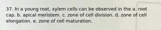 37. In a young root, xylem cells can be observed in the a. root cap. b. apical meristem. c. zone of cell division. d. zone of cell elongation. e. zone of cell maturation.