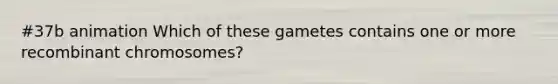 #37b animation Which of these gametes contains one or more recombinant chromosomes?