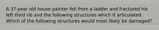 A 37-year old house painter fell from a ladder and fractured his left third rib and the following structures which it articulated. Which of the following structures would most likely be damaged?