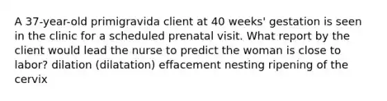 A 37-year-old primigravida client at 40 weeks' gestation is seen in the clinic for a scheduled prenatal visit. What report by the client would lead the nurse to predict the woman is close to labor? dilation (dilatation) effacement nesting ripening of the cervix