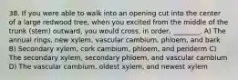 38. If you were able to walk into an opening cut into the center of a large redwood tree, when you excited from the middle of the trunk (stem) outward, you would cross, in order, ________. A) The annual rings, new xylem, vascular cambium, phloem, and bark B) Secondary xylem, cork cambium, phloem, and periderm C) The secondary xylem, secondary phloem, and vascular cambium D) The vascular cambium, oldest xylem, and newest xylem