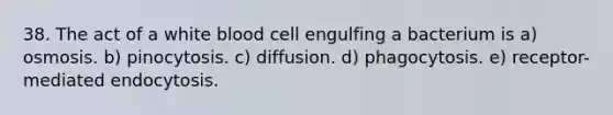 38. The act of a white blood cell engulfing a bacterium is a) osmosis. b) pinocytosis. c) diffusion. d) phagocytosis. e) receptor-mediated endocytosis.