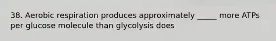 38. Aerobic respiration produces approximately _____ more ATPs per glucose molecule than glycolysis does