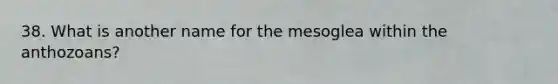 38. What is another name for the mesoglea within the anthozoans?