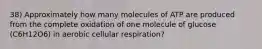 38) Approximately how many molecules of ATP are produced from the complete oxidation of one molecule of glucose (C6H12O6) in aerobic cellular respiration?