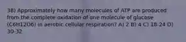 38) Approximately how many molecules of ATP are produced from the complete oxidation of one molecule of glucose (C6H12O6) in aerobic cellular respiration? A) 2 B) 4 C) 18-24 D) 30-32