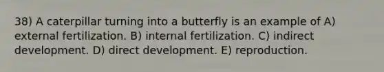 38) A caterpillar turning into a butterfly is an example of A) external fertilization. B) internal fertilization. C) indirect development. D) direct development. E) reproduction.