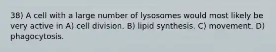 38) A cell with a large number of lysosomes would most likely be very active in A) cell division. B) lipid synthesis. C) movement. D) phagocytosis.