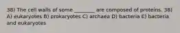 38) The cell walls of some ________ are composed of proteins. 38) A) eukaryotes B) prokaryotes C) archaea D) bacteria E) bacteria and eukaryotes