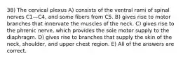 38) The cervical plexus A) consists of the ventral rami of spinal nerves C1—C4, and some fibers from C5. B) gives rise to motor branches that innervate the muscles of the neck. C) gives rise to the phrenic nerve, which provides the sole motor supply to the diaphragm. D) gives rise to branches that supply the skin of the neck, shoulder, and upper chest region. E) All of the answers are correct.