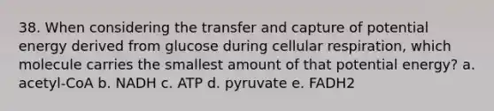 38. When considering the transfer and capture of potential energy derived from glucose during <a href='https://www.questionai.com/knowledge/k1IqNYBAJw-cellular-respiration' class='anchor-knowledge'>cellular respiration</a>, which molecule carries the smallest amount of that potential energy? a. acetyl-CoA b. NADH c. ATP d. pyruvate e. FADH2