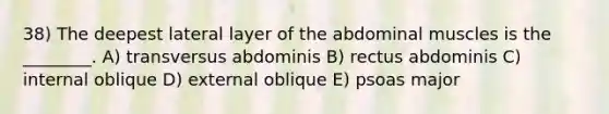 38) The deepest lateral layer of the abdominal muscles is the ________. A) transversus abdominis B) rectus abdominis C) internal oblique D) external oblique E) psoas major