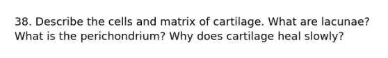 38. Describe the cells and matrix of cartilage. What are lacunae? What is the perichondrium? Why does cartilage heal slowly?