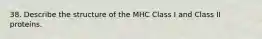 38. Describe the structure of the MHC Class I and Class II proteins.