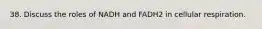 38. Discuss the roles of NADH and FADH2 in cellular respiration.