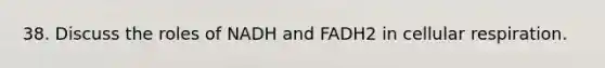 38. Discuss the roles of NADH and FADH2 in cellular respiration.