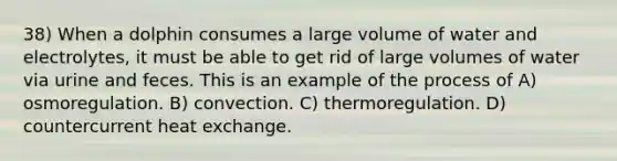 38) When a dolphin consumes a large volume of water and electrolytes, it must be able to get rid of large volumes of water via urine and feces. This is an example of the process of A) osmoregulation. B) convection. C) thermoregulation. D) countercurrent heat exchange.