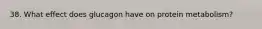 38. What effect does glucagon have on protein metabolism?