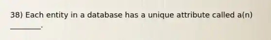 38) Each entity in a database has a unique attribute called a(n) ________.